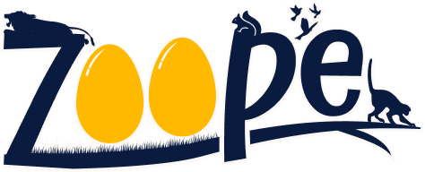 ZooPe-Fnal-Logo-01-1